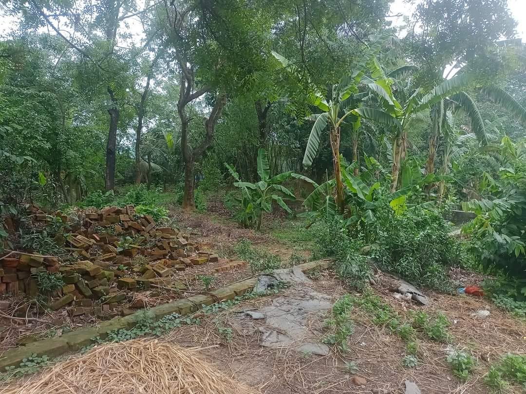 জমির পরিমান ৪ কাঠা, উত্তর খান চামুর খান মৌজা ।