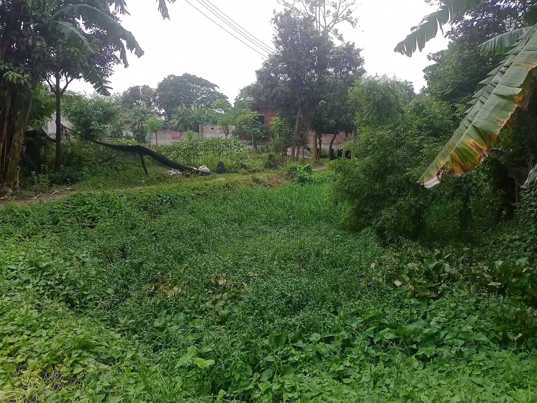 জমির পরিমাণ দশ কাঠা। লোকেশন হলো চামুর খান
