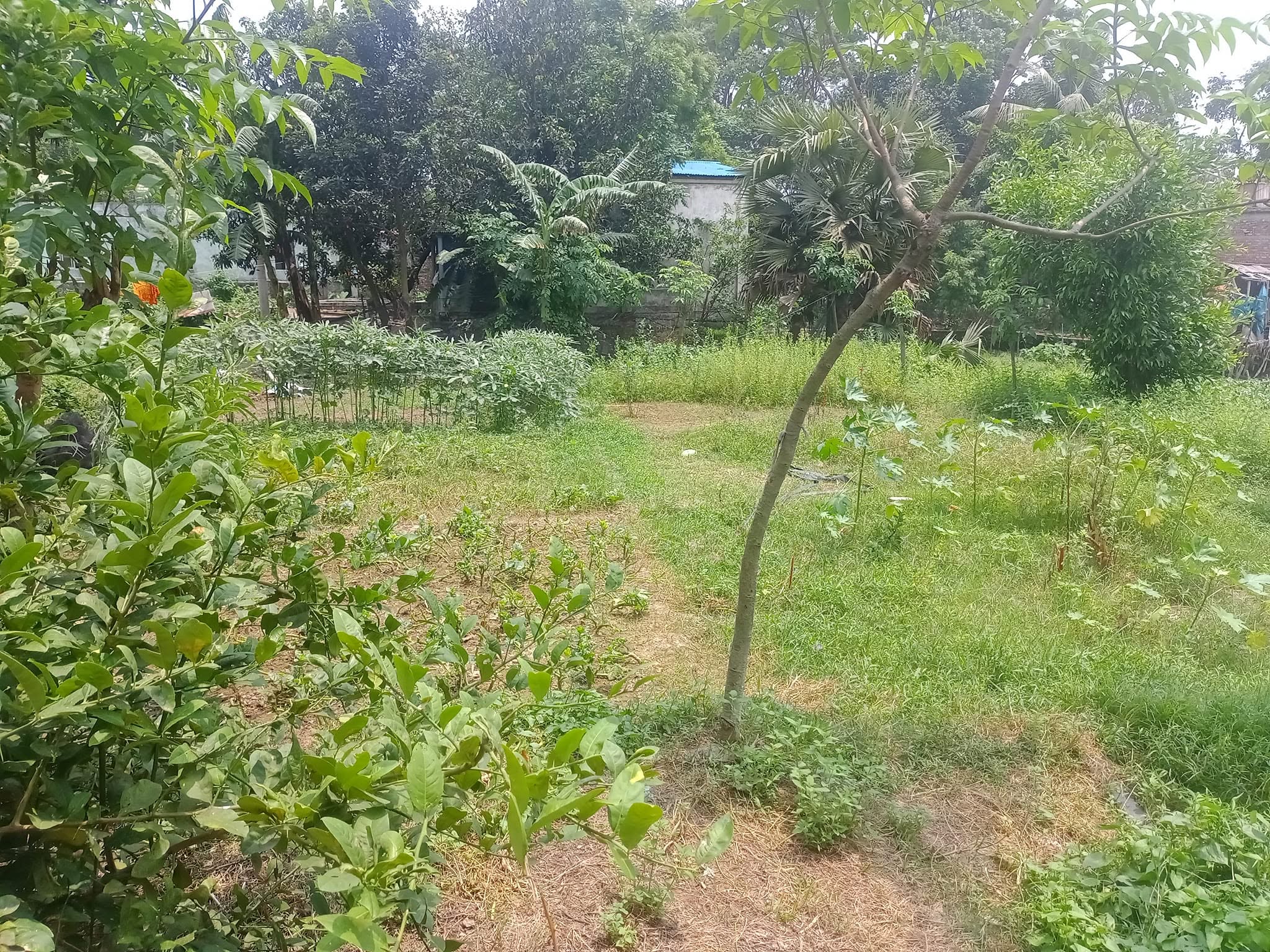 জমির পরিমান ১০ কাঠা। উত্তর খান গোবিন্দপুর মৌজা