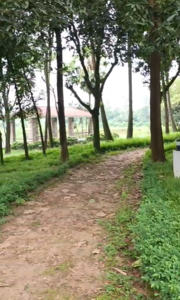 ৩৩ বিঘা জমি বিক্রি হবে গাজীপুর